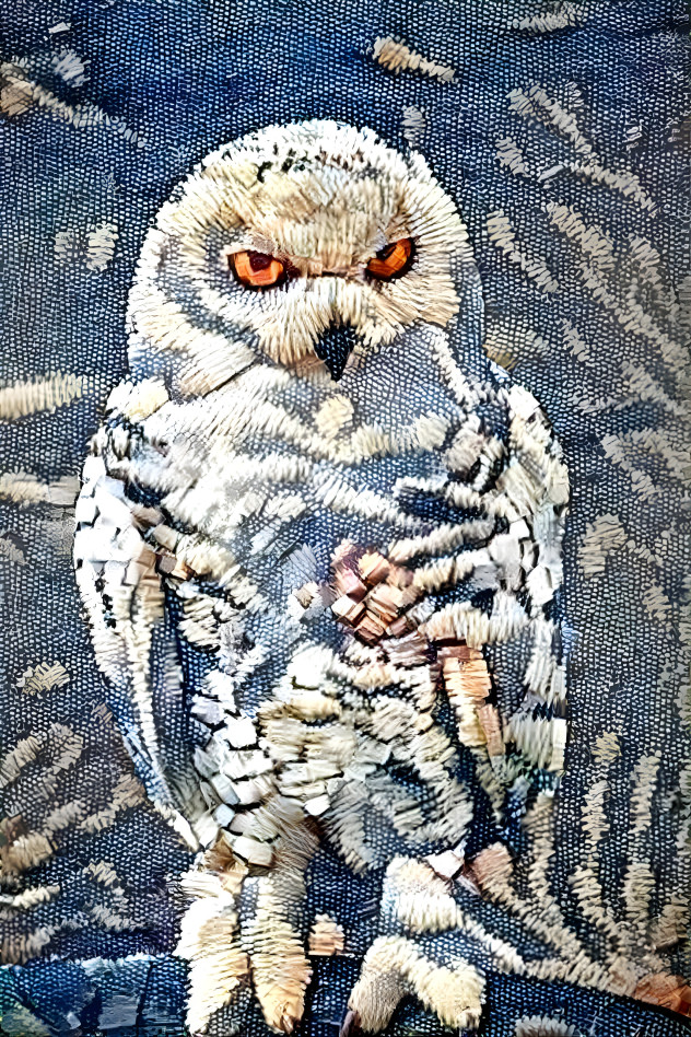 owl