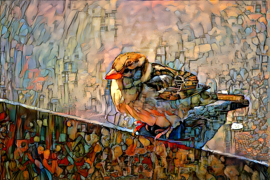 sparrow