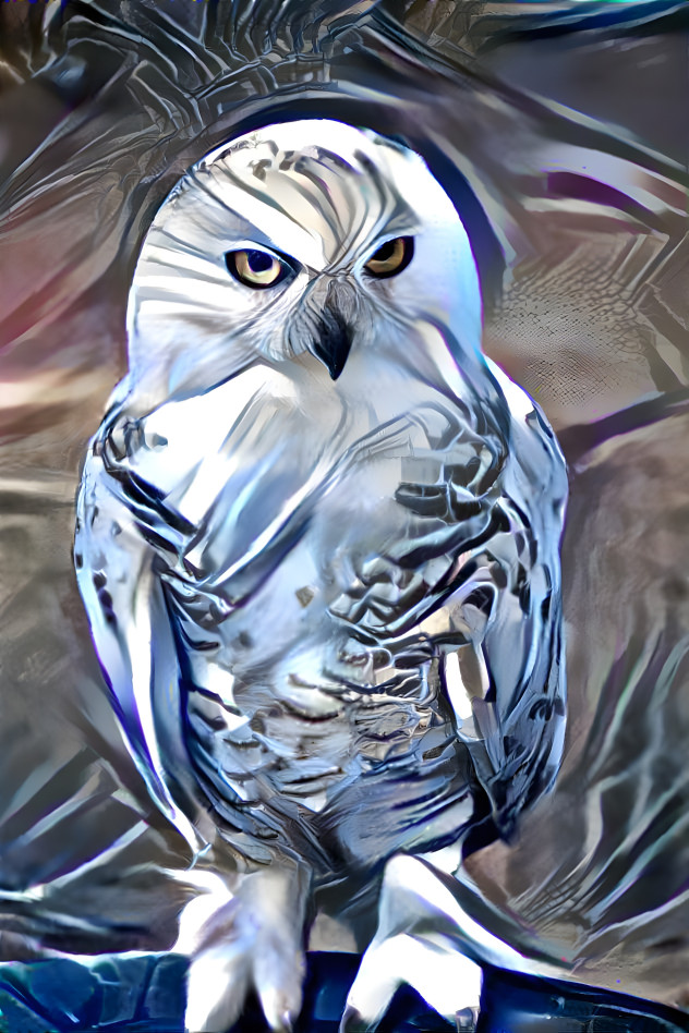 owl