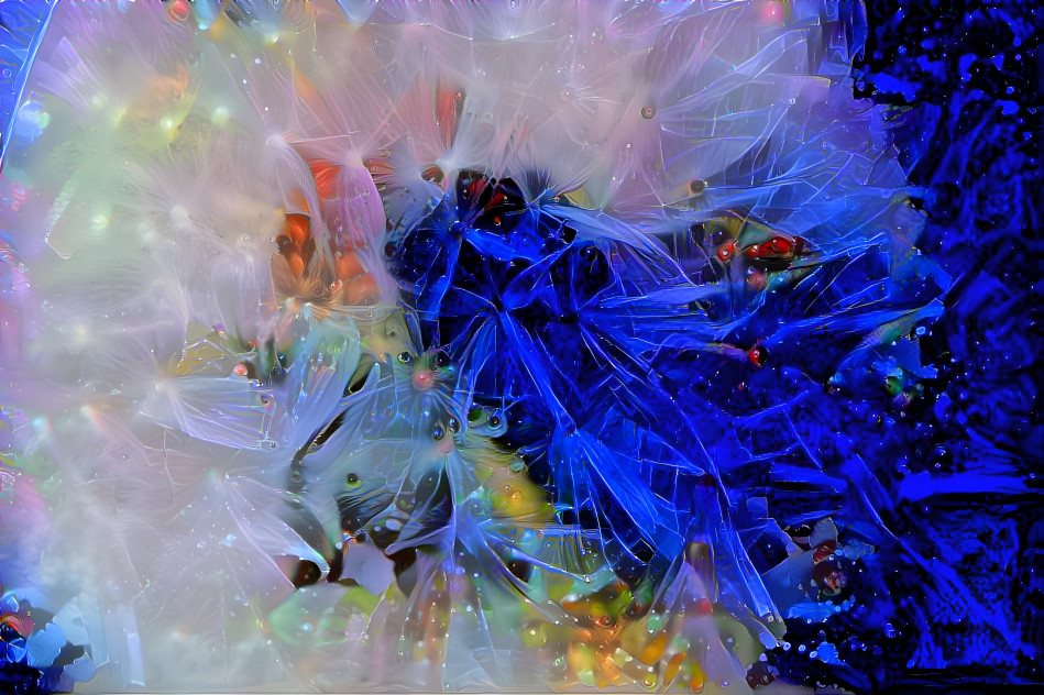 deep dream dandelion