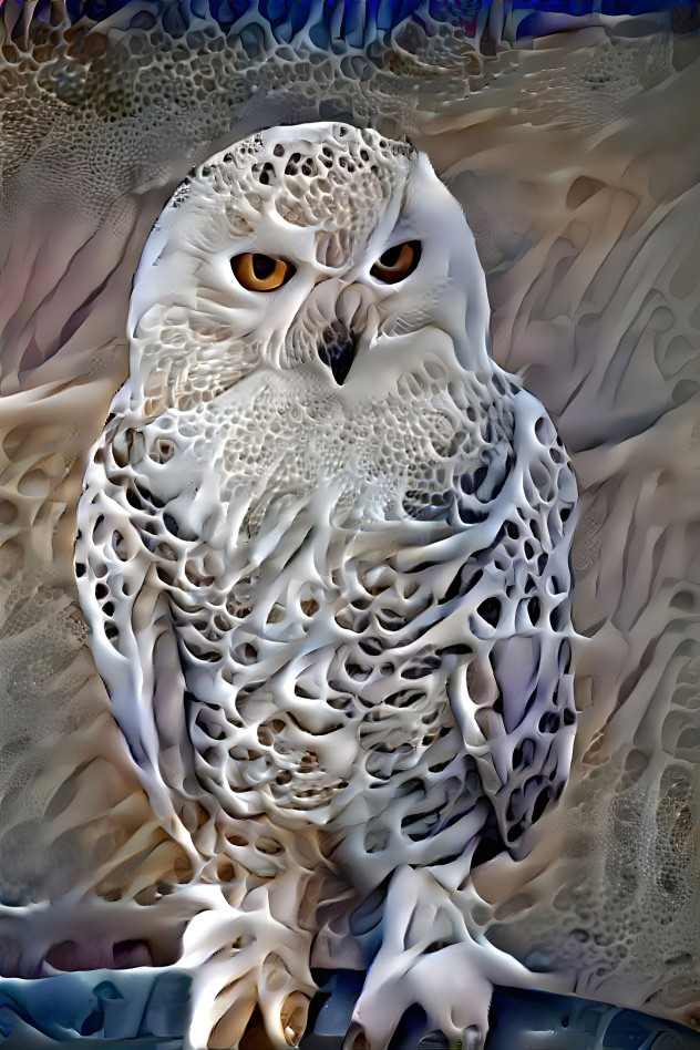 owl