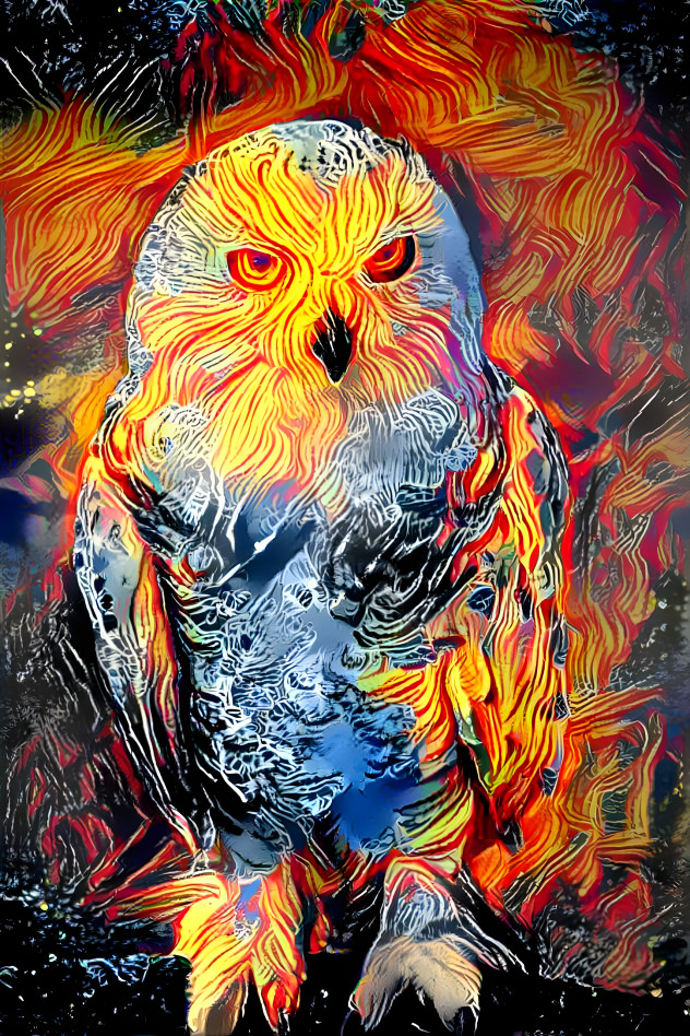 owl