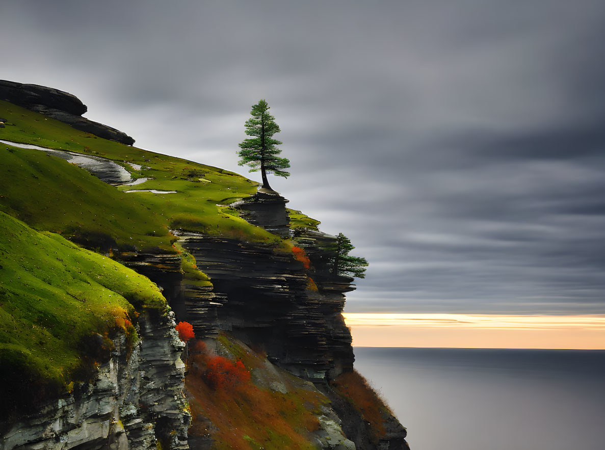 Lone tree on rugged cliff with serene sea and cloudy sky at dawn or dusk