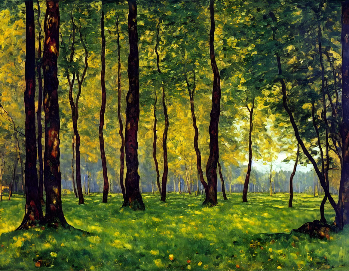 Vibrant green forest with sunlight filtering through tall trees