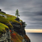 Lone tree on rugged cliff with serene sea and cloudy sky at dawn or dusk