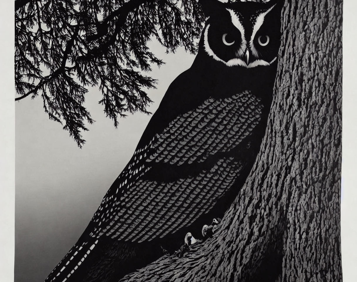 Monochrome owl camouflaged on tree trunk with spread wings under pine branch