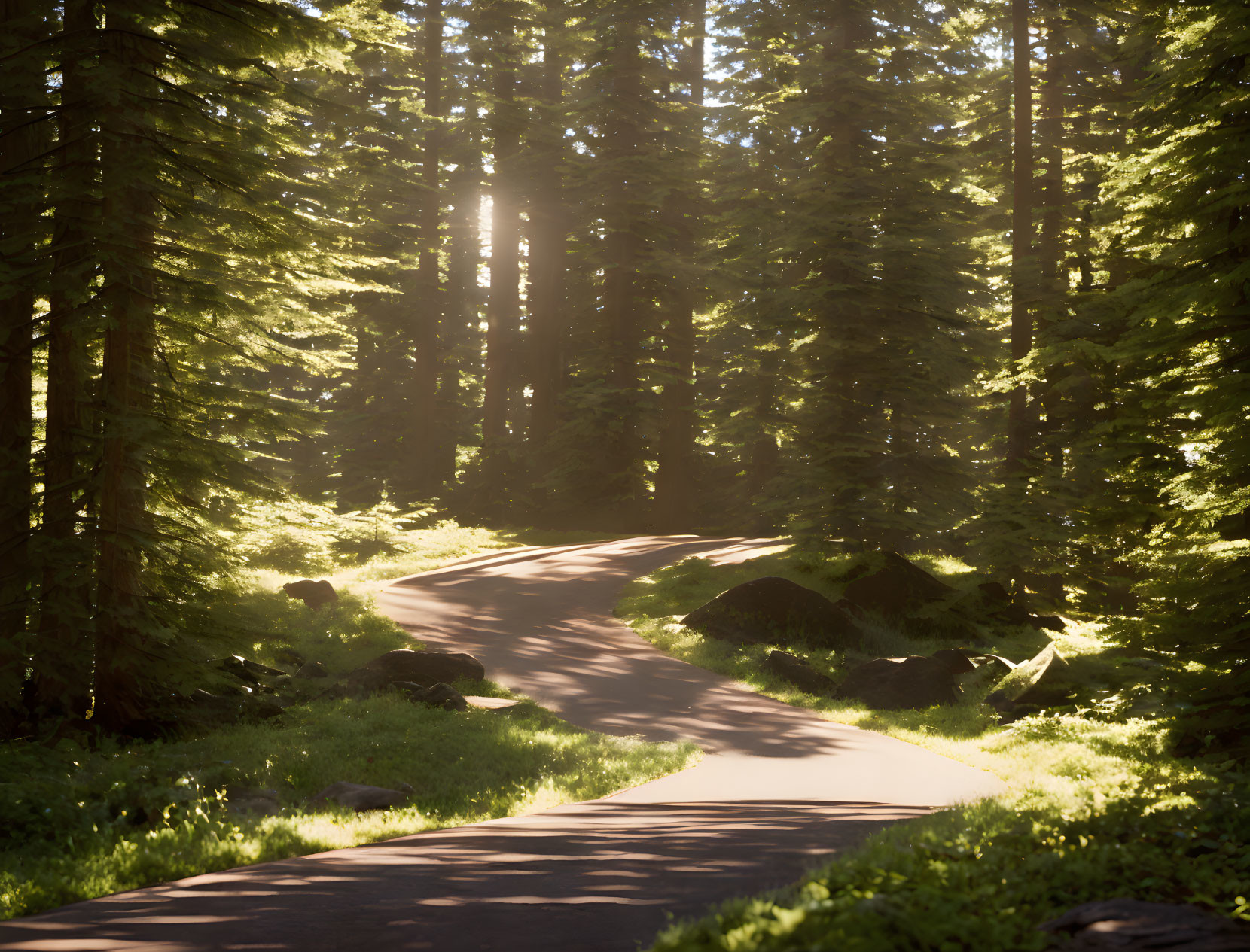 Serene forest path at sunrise or sunset among tall trees