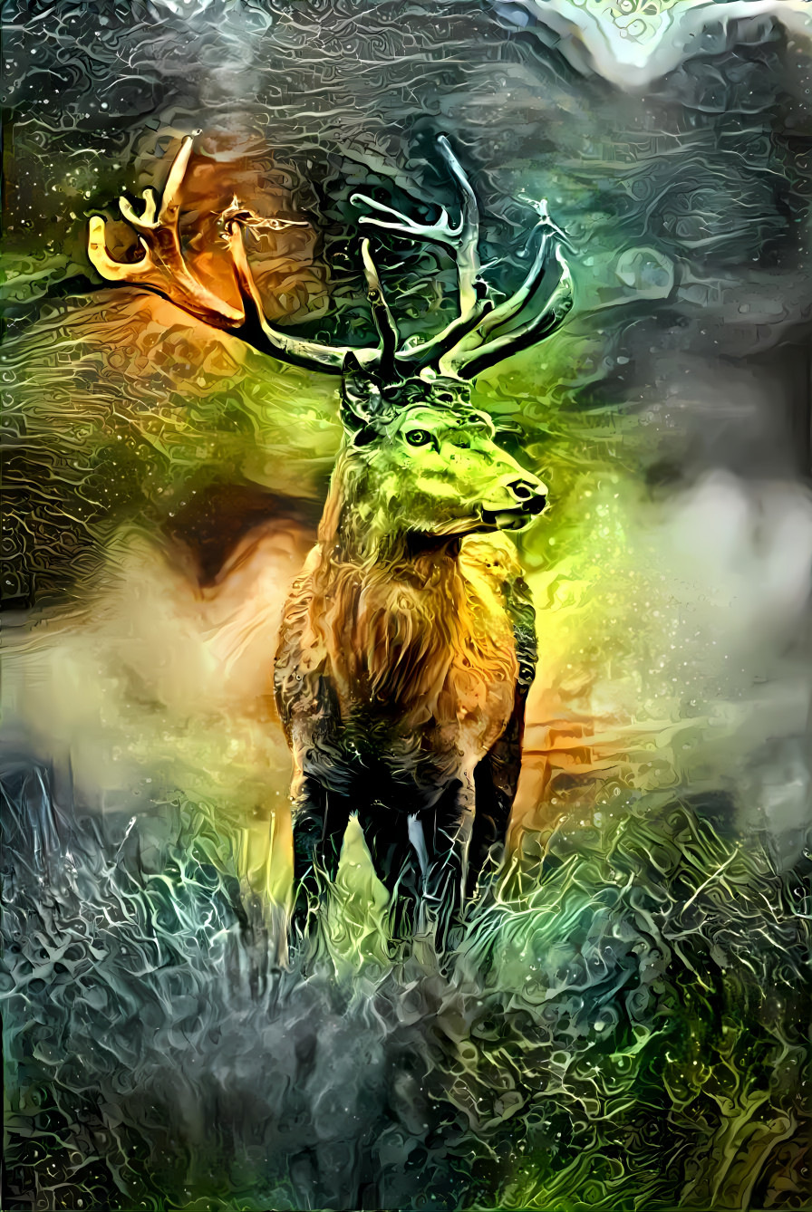 Forest deer colorised