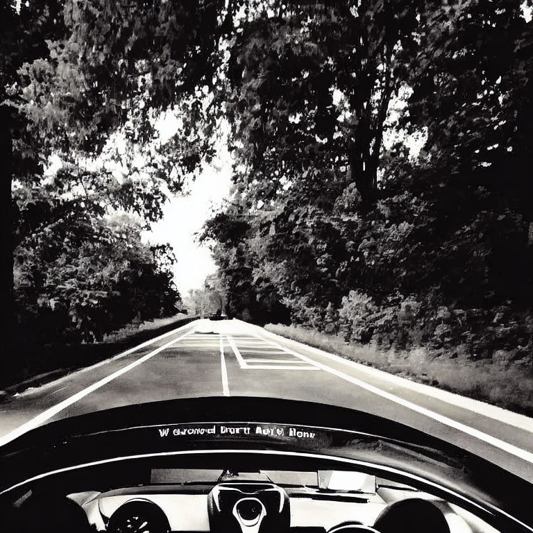 Monochrome photo from car interior overlooking tree-lined road with text overlay.