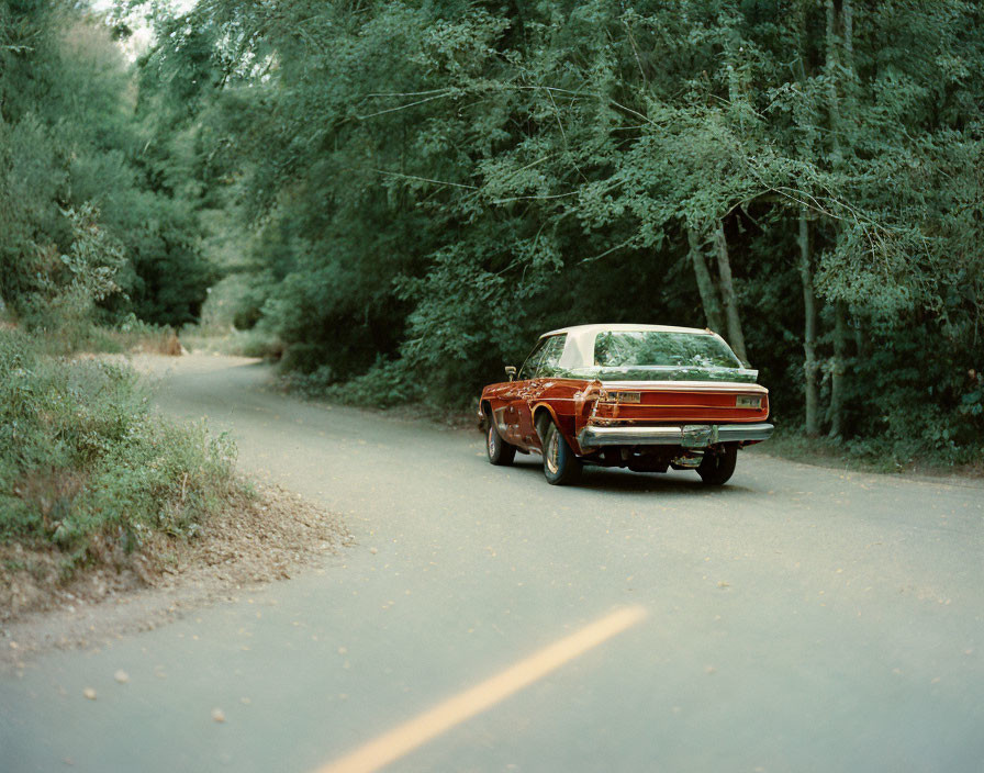 Vintage Car Parked on Forest Road Amid Lush Greenery