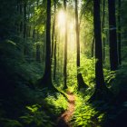 Majestic deer in mystical forest under golden sunlight