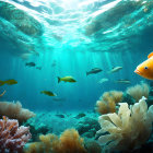 Vibrant coral reefs with colorful fish under sunlight