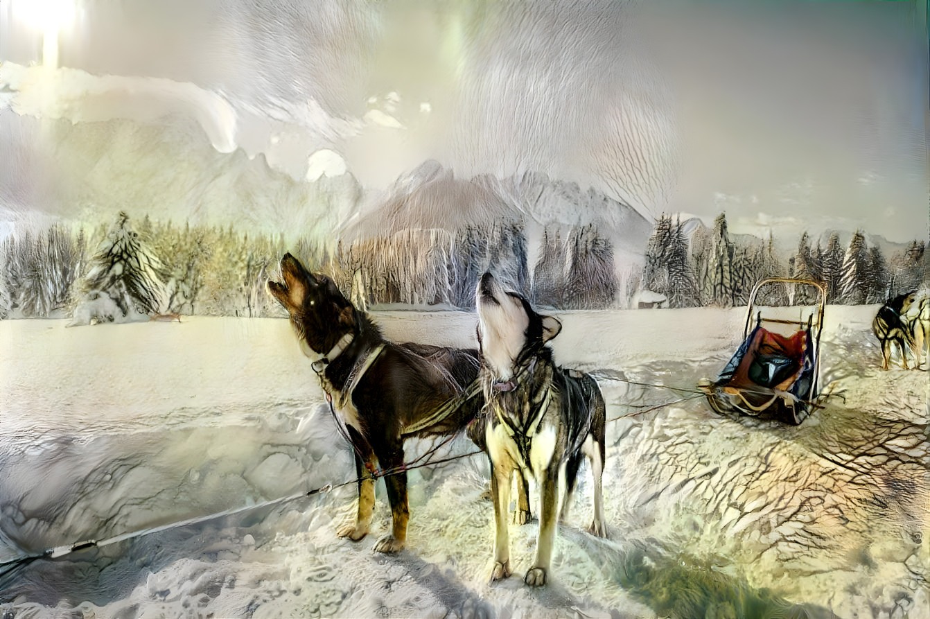 Sled Dogs