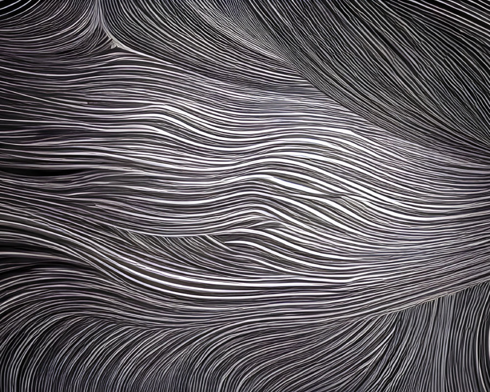 Monochrome abstract art with flowing wave-like lines