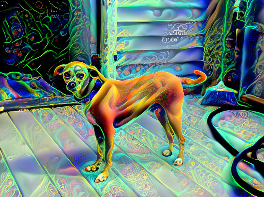 Psychedelic Roo Roo