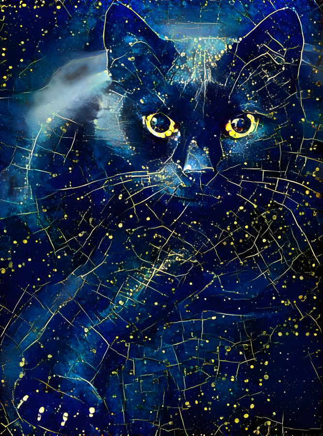 Feline of the Galaxy