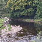 Tranquil forest scene with trees and foliage reflected in calm river