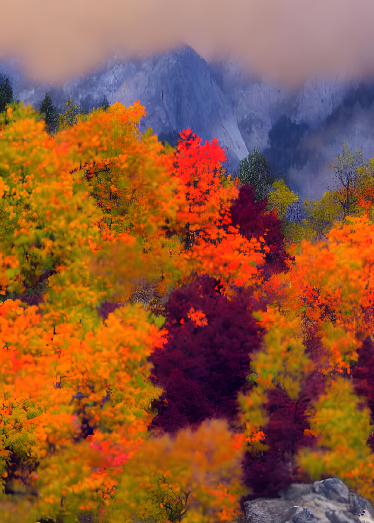 Colorful Autumn Foliage Against Misty Mountains