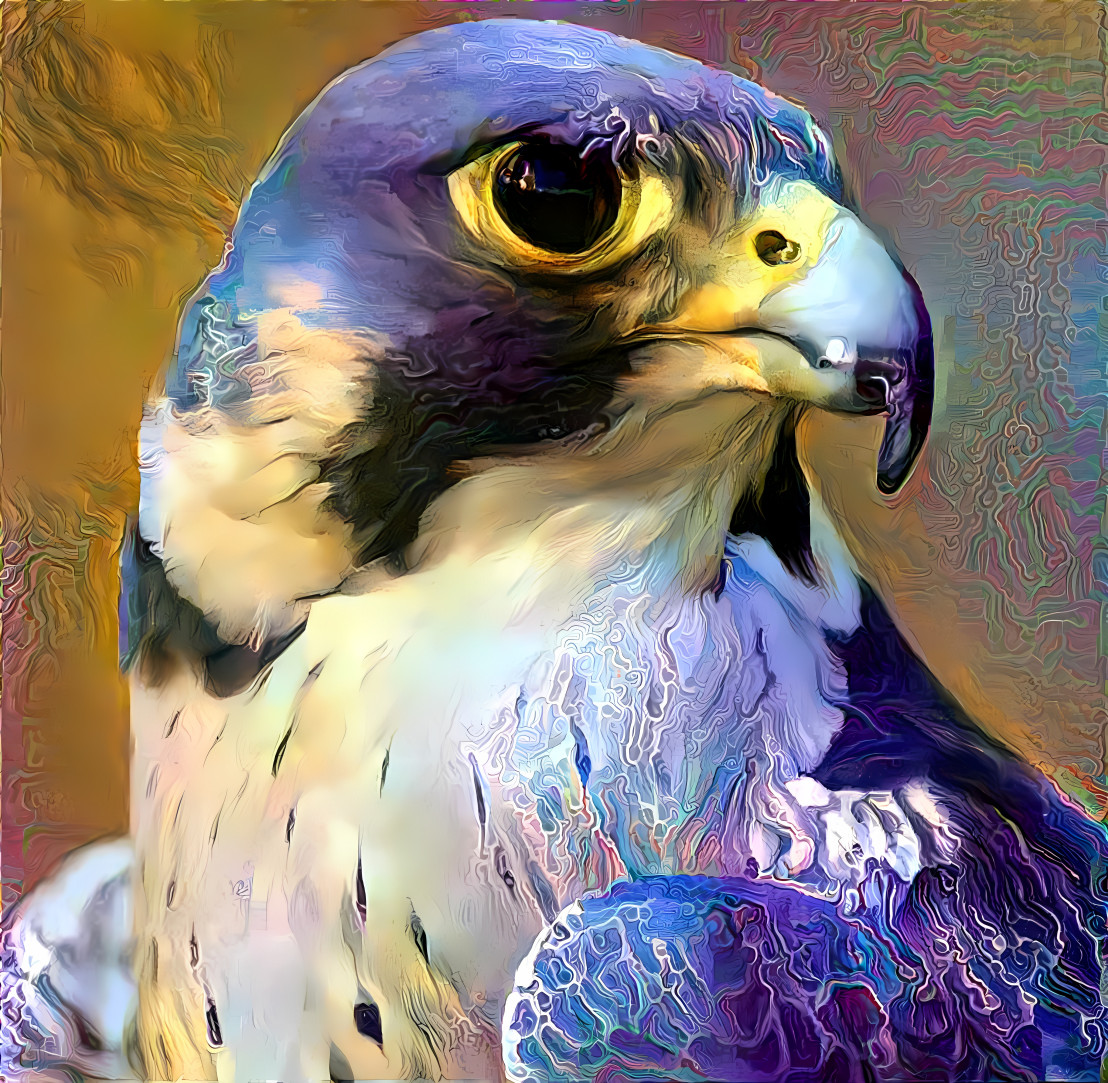 purple falcon ( фиолетовый сокол )