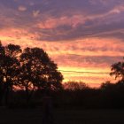 Mystical sunset landscape with fiery skies, silhouetted trees, distant mountains, and soaring