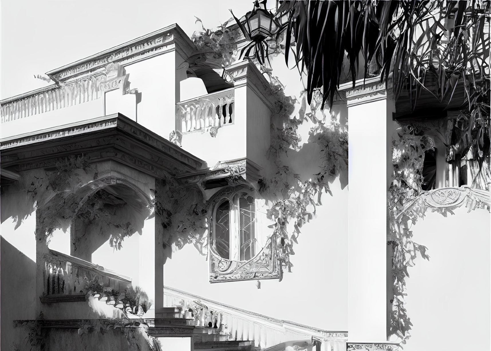 Monochrome photo of ornate classical building corner with balconies and trailing plants