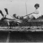 Monochrome anthropomorphic bird illustration in Victorian attire with child on cart