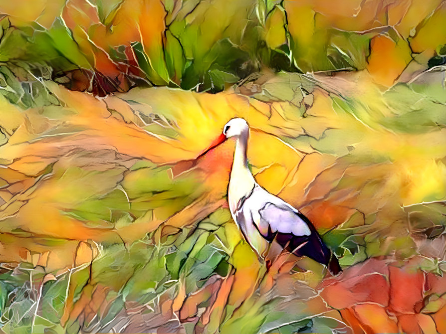 Stork in Field