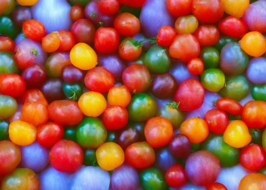 Vibrant assortment of cherry tomatoes in red, yellow, green, and purple.