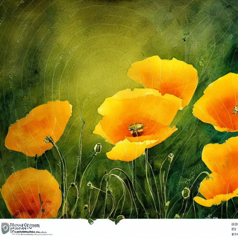 Bright Orange Poppies on Textured Green Background