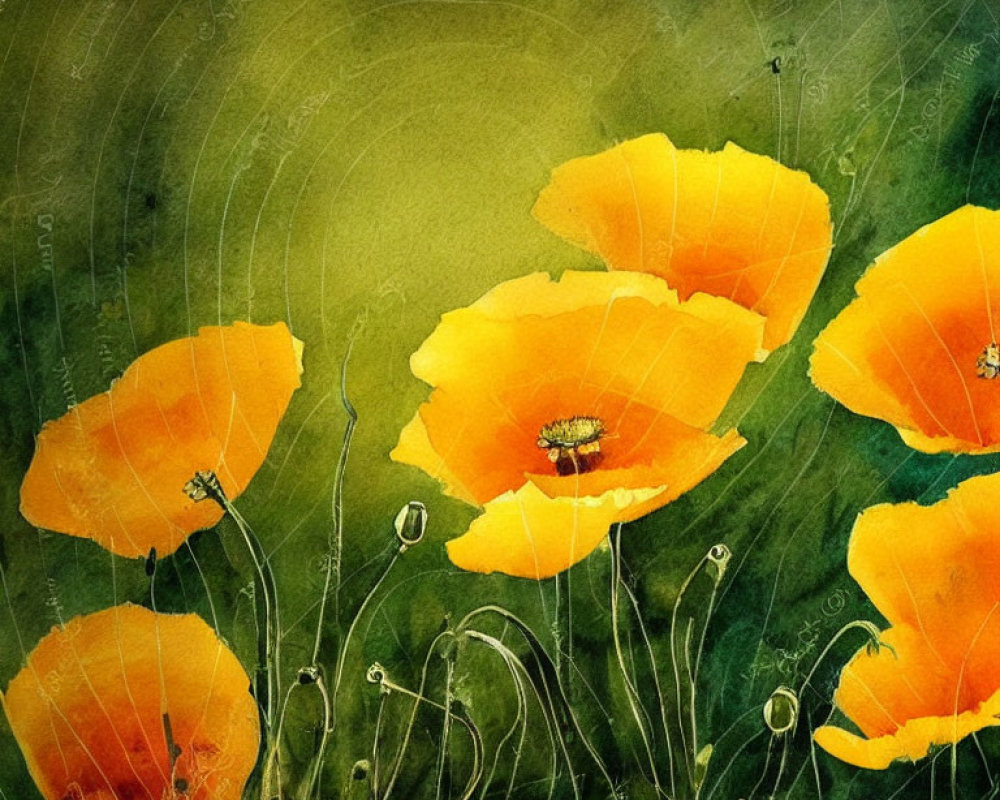 Bright Orange Poppies on Textured Green Background