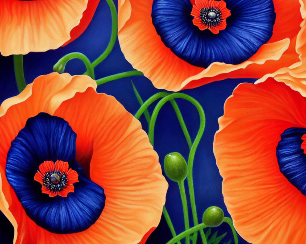 Vibrant orange-red poppies with blue-black centers on deep blue backdrop