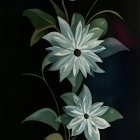 White Flowers with Yellow Centers in Green and Blue Vase on Dark Background