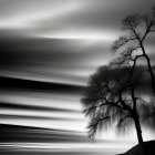 Misty forest nightscape with moon, stars, and illuminated trees