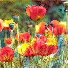 Colorful Galaxy-Inspired Backdrop with Vibrant Red Poppies and Floating Bubbles