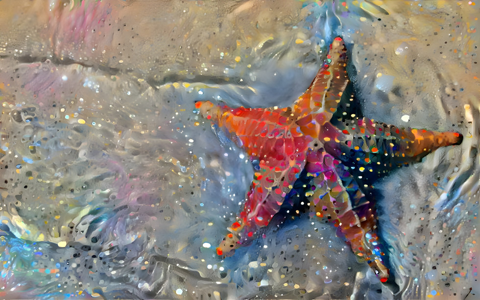 Star fish2