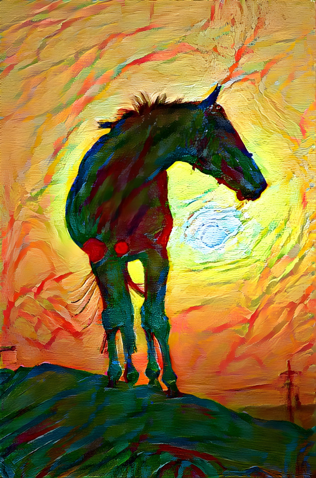 Horse at Sunset