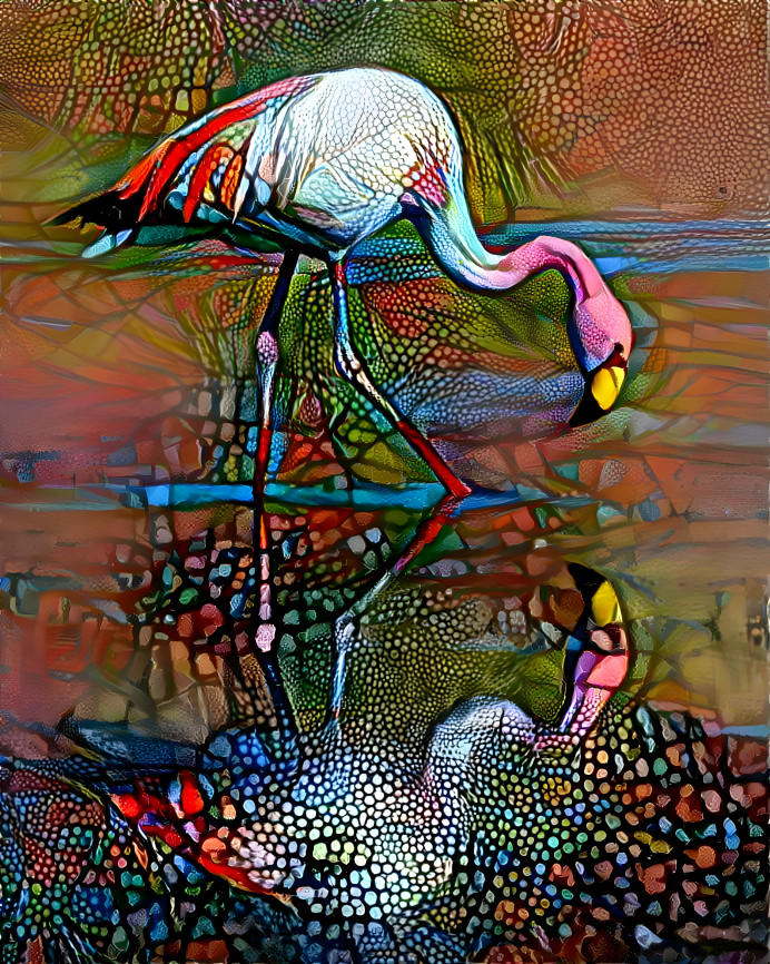 Flamingo Reflection