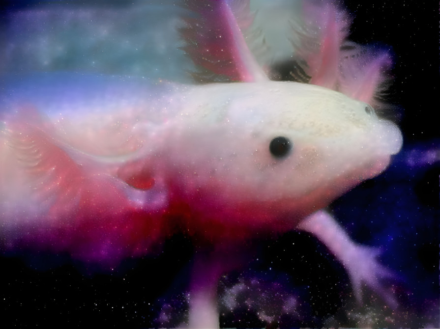 axolotl in space