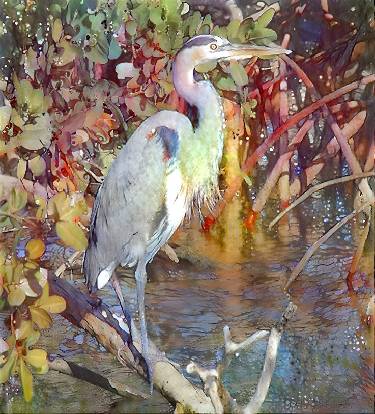 Great Blue Heron