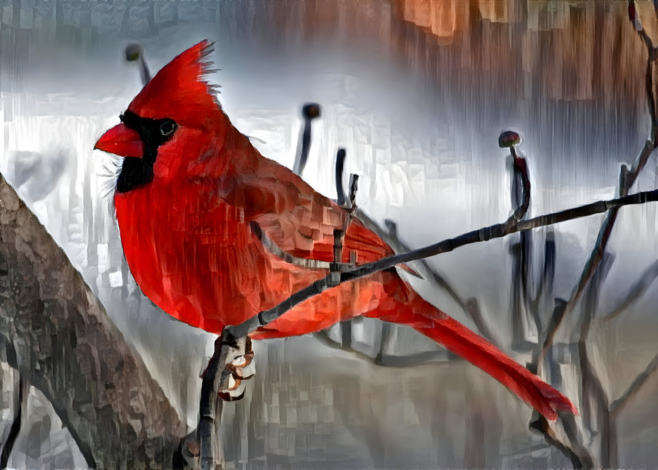 Mr. Cardinal