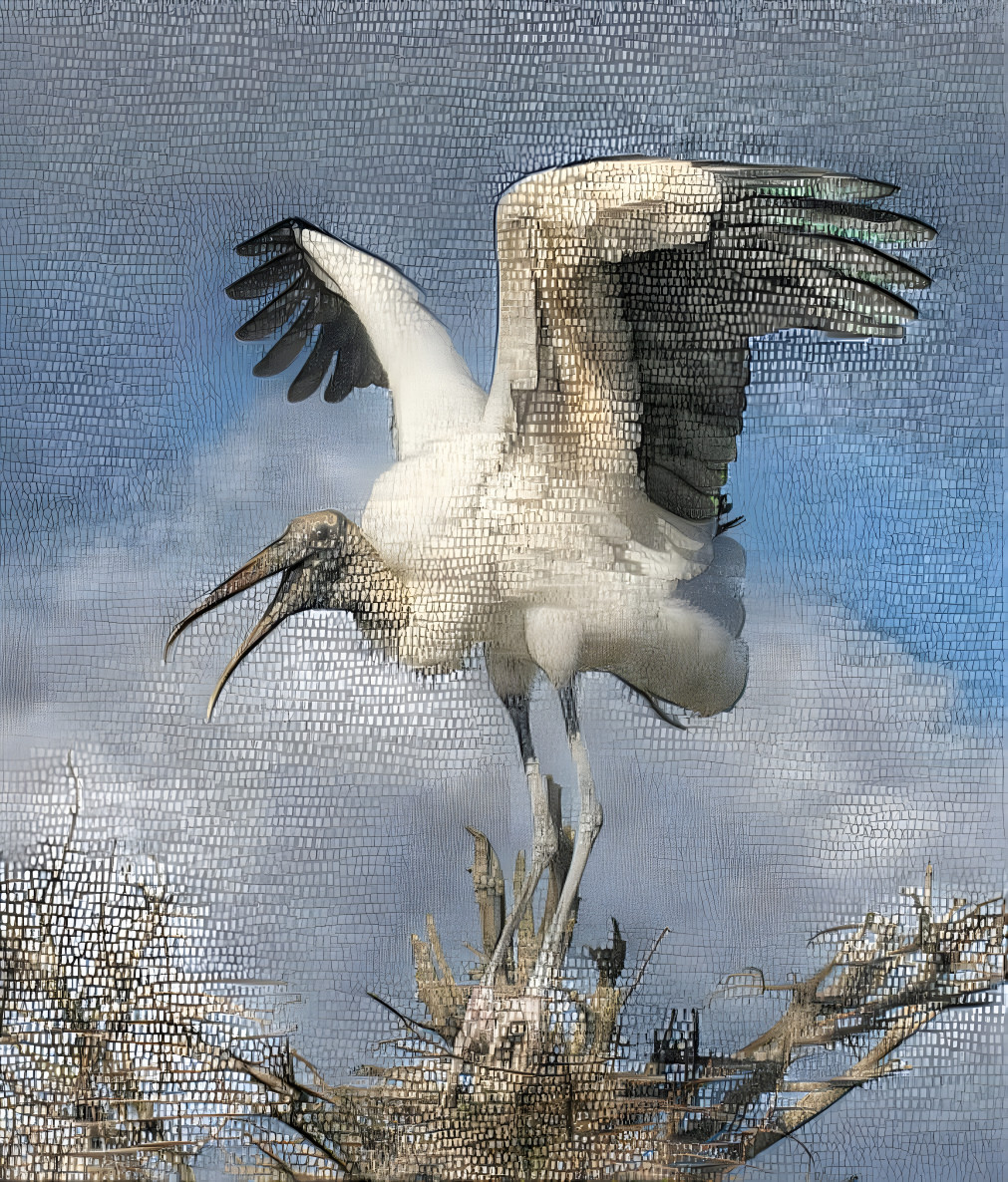 Nesting Woodstork