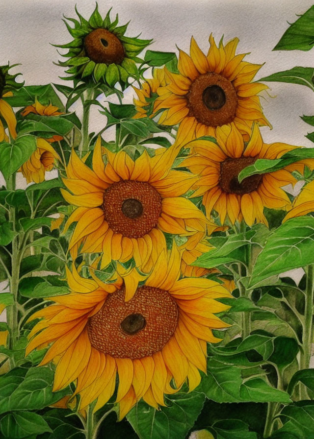 Vibrant watercolor painting of yellow sunflowers on off-white background