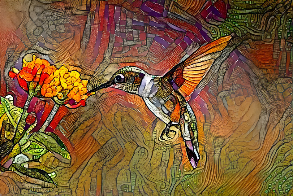 Hummingbird Patterned