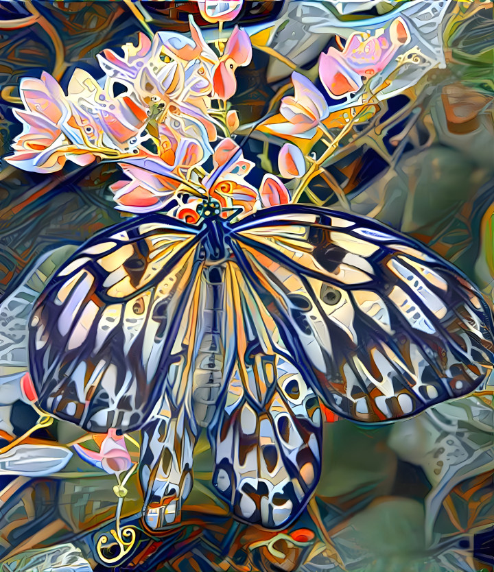 Butterfly Design