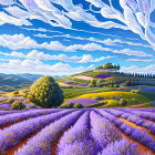 Vibrant Lavender Field on Rolling Hills at Sunset