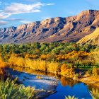 Colorful Autumn Forest with River and Striped Cliffs Landscape