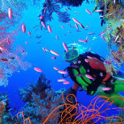 Colorful underwater scene with stylized women, fish, coral, and flora