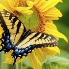 Colorful Butterfly Illustration on Yellow Flowers with Stained-Glass Background