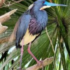 Colorful Heron Watercolor Painting on Branch with Green Foliage