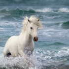 White horse watercolor painting wading in blue waves